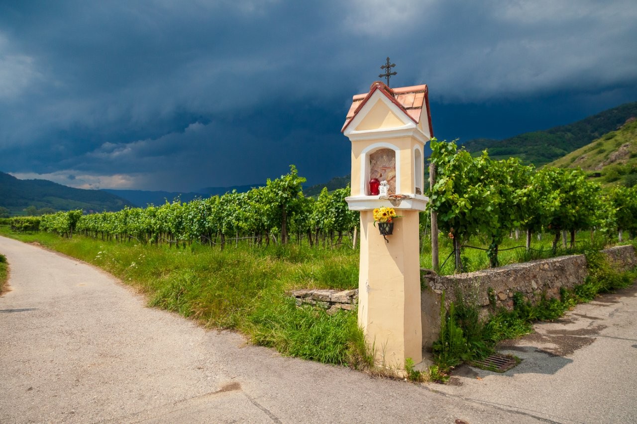 Weingut Sigl, Rossatz