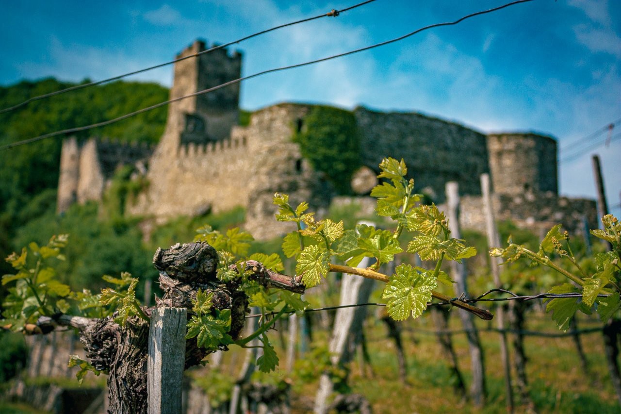 Weingut Schneeweis, Spitzer Graben